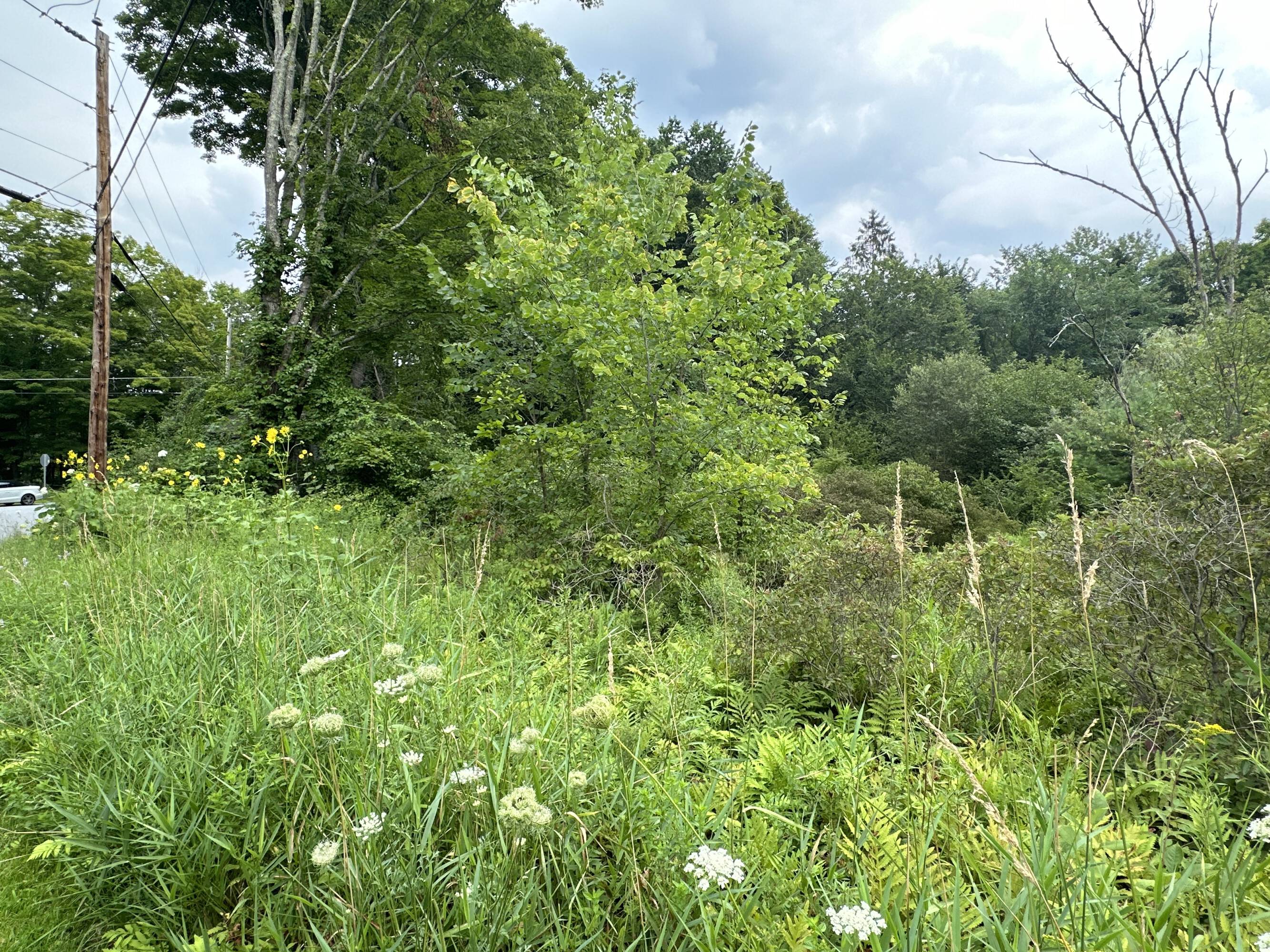 Beautiful residential land